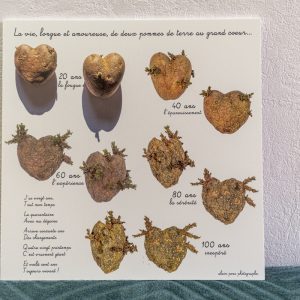 photographie un couple de pommes de terre amoureuses, sur plaque forex 30cm x 30cm