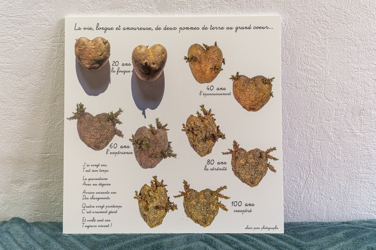 photographie un couple de pommes de terre amoureuses, sur plaque forex 30cm x 30cm