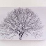 photographie arbre rond, rendu infrarouge, déstockage