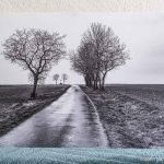 Des arbres, une route, une croix, Charroux, déstockage