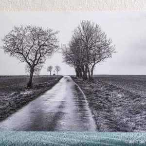 Photographie d'une route bordée d'arbres avec une croix au lointain à Charroux d'Allier, en noir et blanc, format 45cm x 30cm, en déstockage