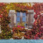 Une fenêtre entourée de feuilles rouges à Charroux, déstockage