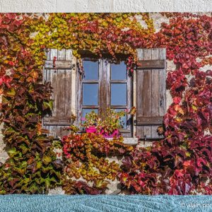 photographie fenêtre et feuilles rouges à Charroux, Allier