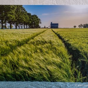 Photographie champ de blé vert et silo à Charroux, Allier, en déstockage, tarif bas très bas.