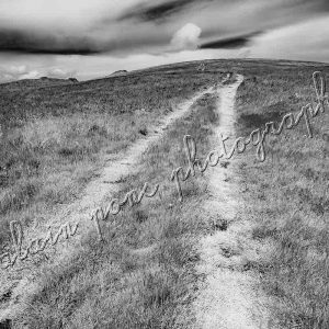 Photographie le chemin dans les estives du Cantal. En noir et blanc infrarouge.