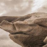 Photographie d'une tronche en biais