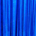 photographie La forêt bleue des Schtroumpfs