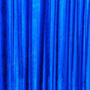 photographie La forêt bleue des Schtroumpfs. Une interprétation d'une vraie forêt. Une trame, un écheveau de troncs et de branches, minimalisme.