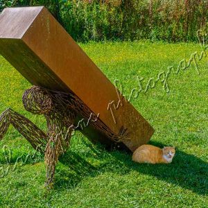 photographie un chat roux à Charroux, Allier. A l'ombre d'une sculpture de Jeff Saint-Pierre, installée en 2001