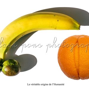 photographie la véritable origine de l'humanité