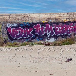 photographie Veux-tu m'épouser peint sur un blockkaus