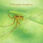 Affiche Vintage Araignée Jongleuse