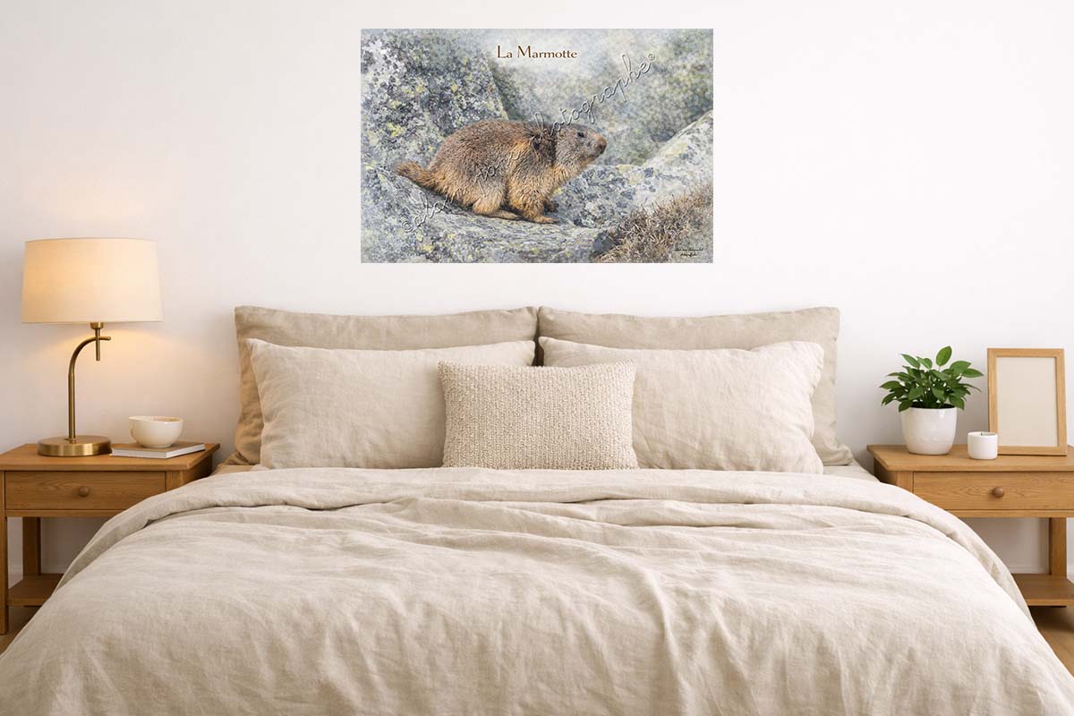 Affiche Vintage La Marmotte en chambre, présentée ici accrochée au mur au dessus de la tête de lit
