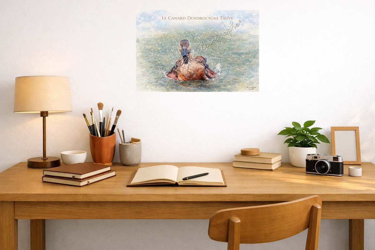 affiche vintage le canard dendrocygne fauve dans un bureau en décoration