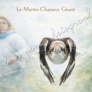 Affiche Vintage Le Martin-Chasseur Géant