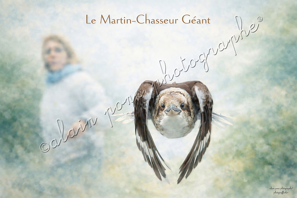 Affiche Vintage Le Martin-Chasseur Géant