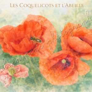 affiche vintage les coquelicots et l'abeille