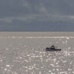 photographie le petit bateau dans le grand océan