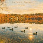 Affiche vintage Lac Pavin en automne et ses canards