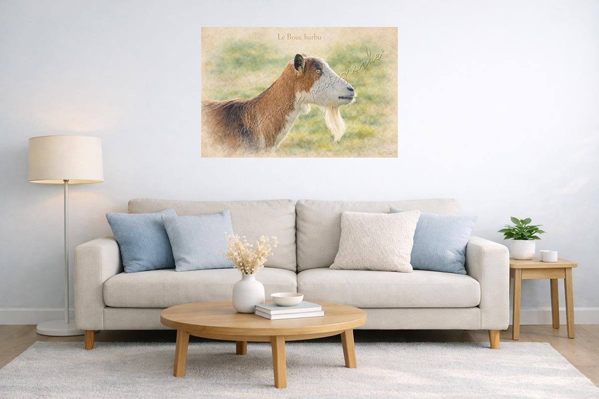 affiche vintage le bouc barbu, présentée ici dans un salon