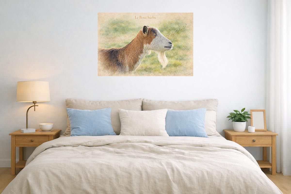 affiche vintage le bouc barbu présentée ici dans une chambre