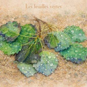 affiche vintage les feuilles vertes