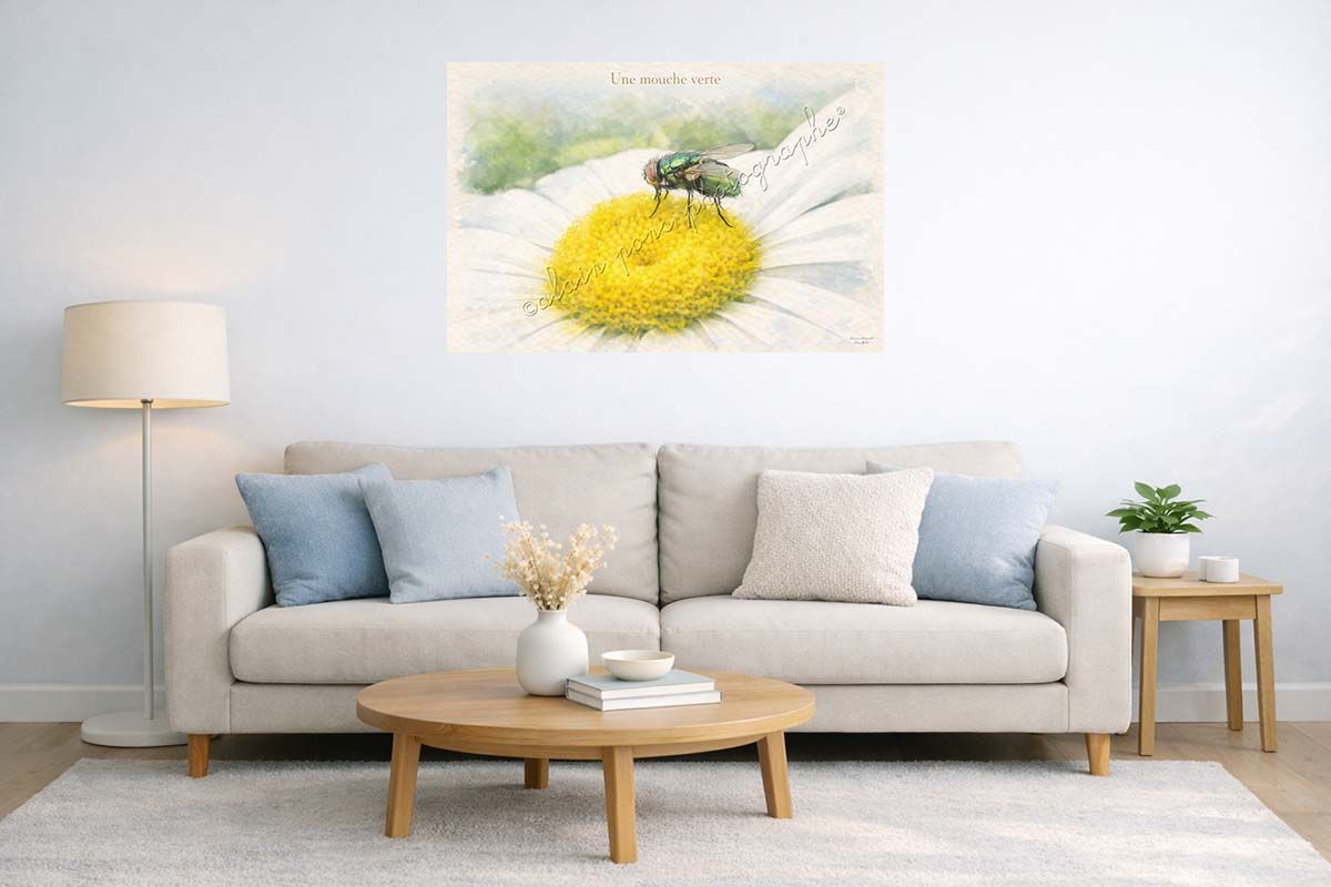 affiche vintage une mouche verte présentée ici en suggestion de décoration dans un salon