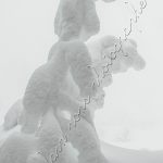 Photographie le Schtroumpf enneigé