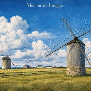 affiche vintage moulins de Trouguer